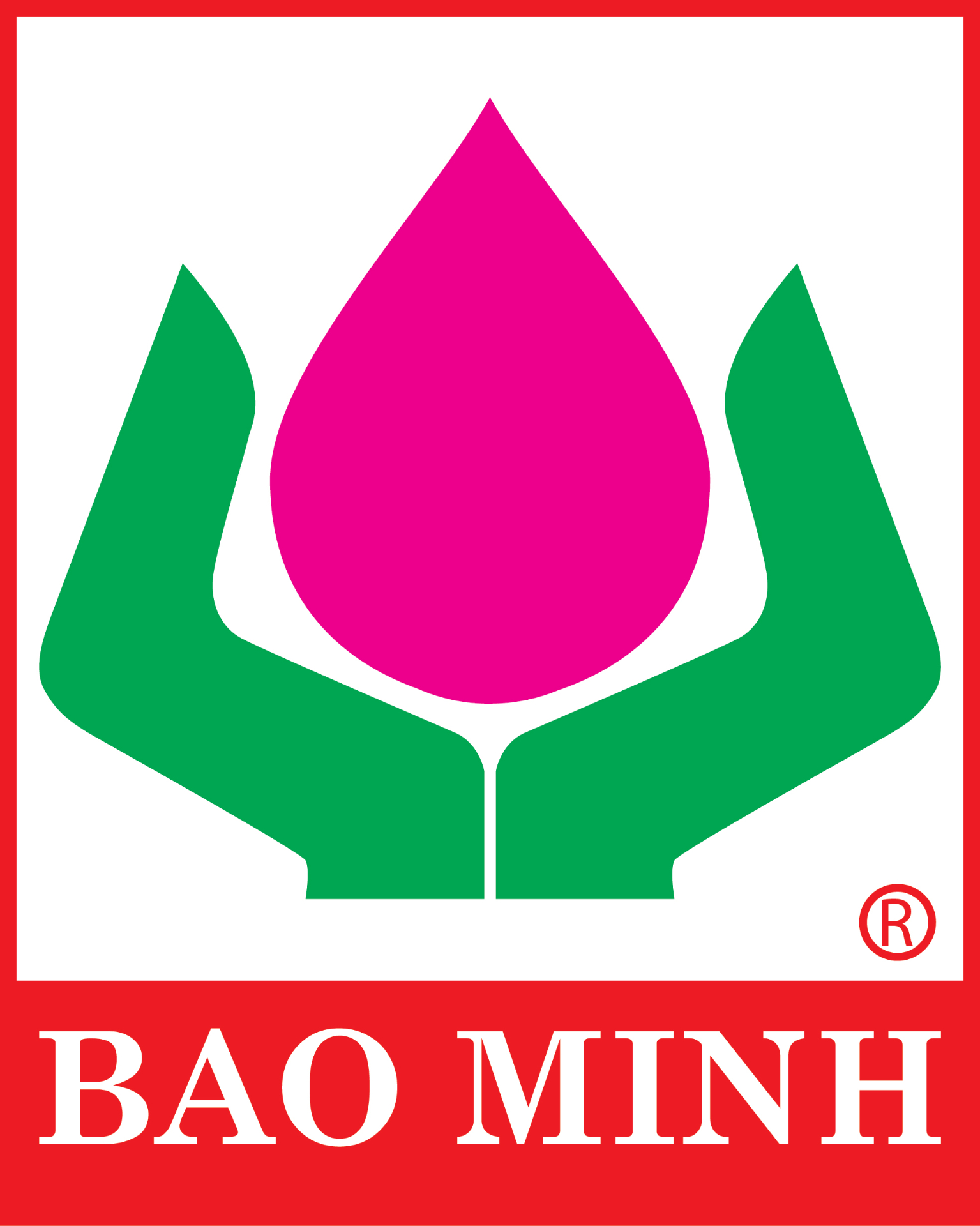Bảo hiểm Bảo Minh